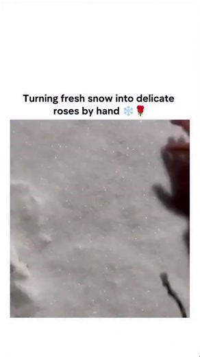 pingpong144 | This viral post demonstrates a simple DIY technique for crafting "snow roses" by packing fresh snow into petal layers around a twig stem... | Instagram