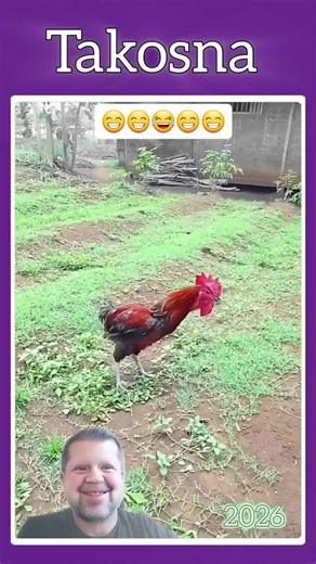 Exploring the Magic of Smart Bots: AI Innovations