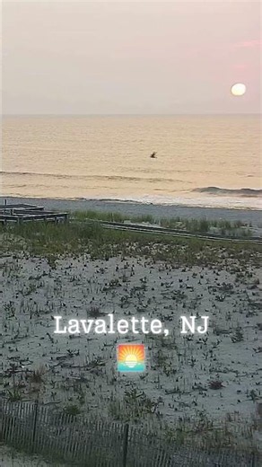 Lavallette NJ — Sunrise Turns the Ocean Gold 🌅 #Shorts
