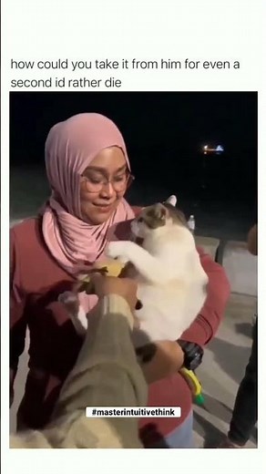 Cat Won't Leave His Teddy Bear Friend #tiktok #viral #funny #catinthehat #cat