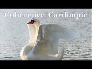💖 Coherence Cardiaque Exercices. n°62 🎹🎵