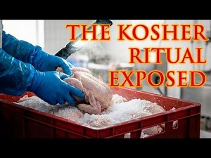 The Secret of Kosher Meat: Inside a High-Standard Sacred Slaughterhouse. Unfiltered Process!