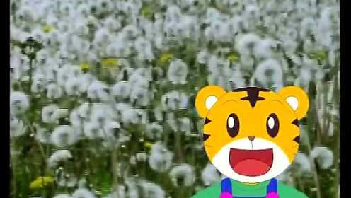 乐智小天地 和巧虎一起探险（见视频简介）