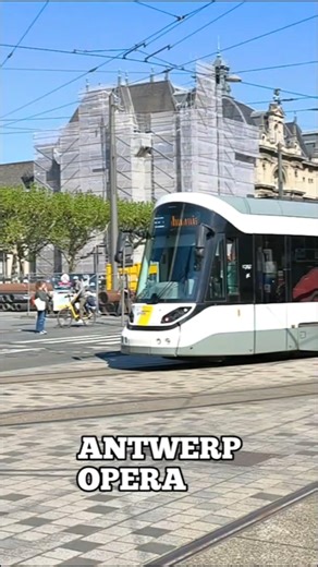 Watch Antwerp Trams Pass By #tram #antwerp #shorts