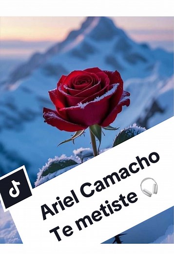 Te mentiste - Ariel Camacho: Letra y Música