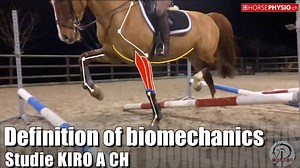 30K views · 376 reactions | Definition of biomechanics by www.horsephysio.ch | Horsephysio | Facebook