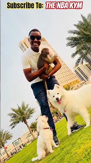 Pets Connection,#love #viral #shorts #trending