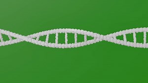 Download DNA 3d model for free