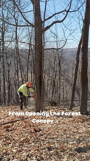 The #1 Tool For Whitetail Land Management | Epic Whitetail Habitat, LLC