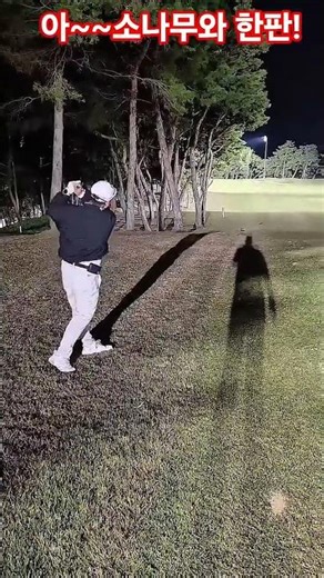 #golf #troubleshot #roughandpine