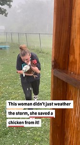 429K views · 268 reactions | Chicken Gets Help #chickens #chickenvideos #chicken | Reader's Digest | Facebook
