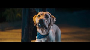 Ստացիր 3000 idcoin ընդամենը մի քանի պարզ քայլերով 😇 Միացրու Իդրամի և IDBank-ի հաշիվներդ ու ստացիր 3.000 դրամ` idcoin-ի տեսքով 🧡 Իսկ եթե IDBank-ի հաճախորդ չես, ապա պատվիրիր անվճար բանկային քարտ հենց Idram&IDBank հավելվածից ու ստացիր 3000 դրամին համարժեք idcoin 🔄 Հ․Գ․ Նույնիսկ այս չորքոտանի հմայիչ երիտասարդն է ուզում idcoin ստանալ, իսկ դո՞ւ 🤩 ➡️ idcoin -ի մասին ավելին կարդա այստեղ՝ https://bit.ly/3W8oMzW ➡️ Արշավի մասին ավելի մանրամասն կարդա այստեղ՝ https://bit.ly/3SheVGU 1 idcoin = 1 ՀՀ դրամ 