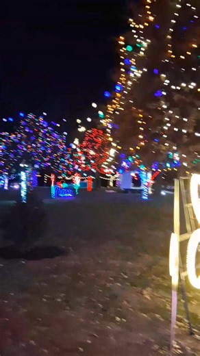 GALLIPOLLIS Christmas lights | Alligator Jackson