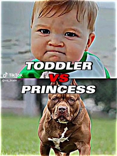 Toddler vs Pitbull | #pitbull #toddler #vs #vsbattle #battle #deathbattle #edit #versus #powerscaling #vsedit #debate #fyp #fypシ #foryou #foryoupage #fypage #fy #fypシ゚viral #fyyyyyyyyyyyyyyyy #fyyyyyyyyyyyyyyyyyyy #viral #viralvideo #viraledit