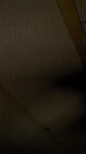 Does anyone else play with their ceiling fans? | Ceiling Fan