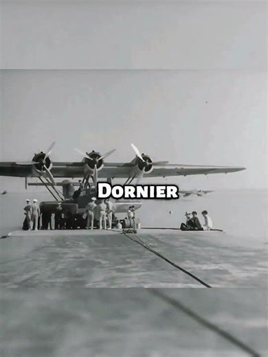 The Legendary Dornier Do 24