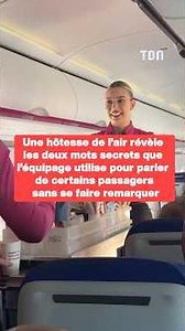 A flight attendant reveals the secret words used to talk about passengers without being noticed