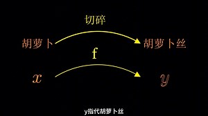 如何理解高中数学中函数的符号f(x)？