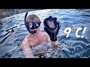 Abalone Catch n Cook: 9°C Water + Boardshorts!