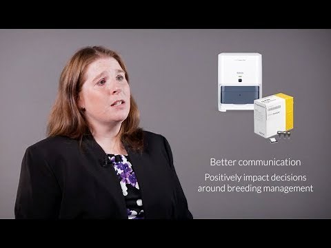 IDEXX Catalyst® Progesterone