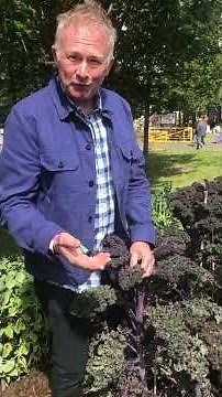 Growing kale - Toby Buckland's tips at BBC Gardeners' World Special Edition