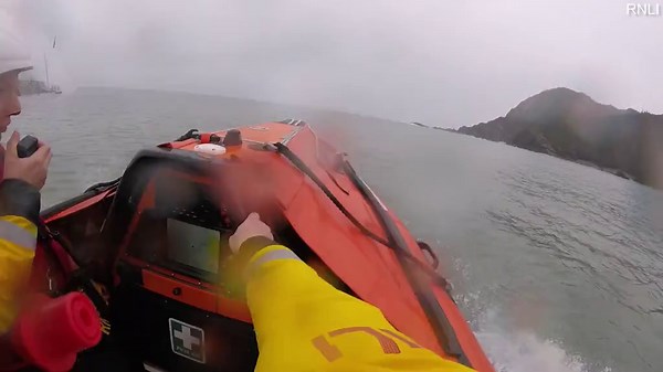 Cockapoo puppy is rescued by RNLI from remote cove after 60-foot fall