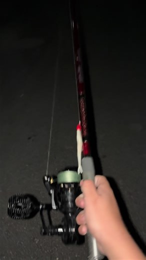 #vanstaal #uglystick #fypシ゚viral #blowthisup #florida van stall parred with a ugly stick 🤙🏻 🫣