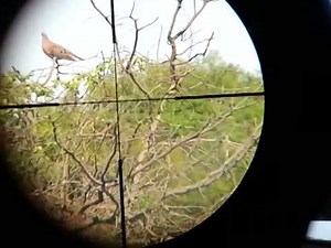 airforce condor 6.35 pcp