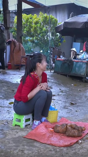 REWIND TIMELAPSE --730 Days Harvest Many Wild Tuber, Ganoderma Mushroom,