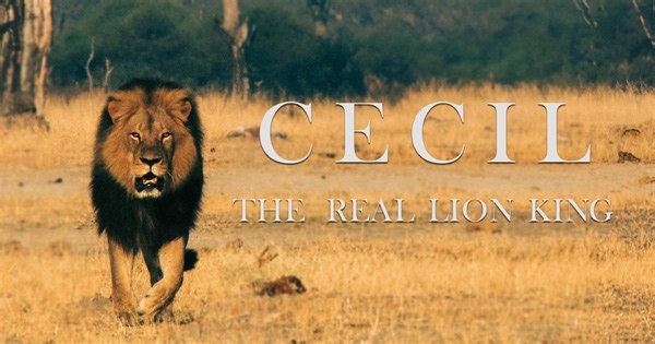 Cecil, The Real Lion King:Cecil, The Real Lion King