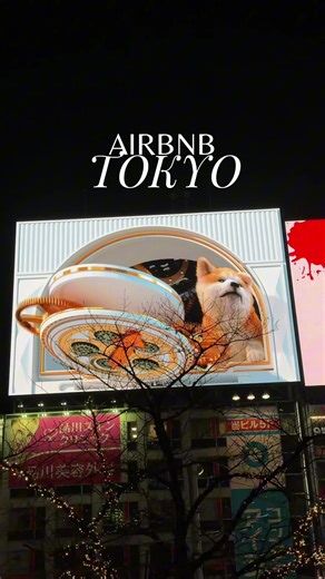 🗼🇯🇵#airbnb #tokyo #japon #japan #dato | airbnb