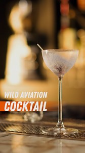 11K views · 72 reactions | • Wild Aviation • ABV: 23,1 % 45 ml...