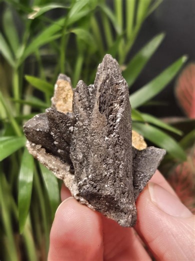Black Feather Calcite - Natural Mineral Crystal Specimen