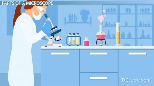 Parts of a Microscope: Lesson for Kids