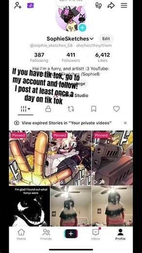 Go to ma tik tok! #furry #fursuit #furryfriend #dinomask #furries #dinomaskfurry