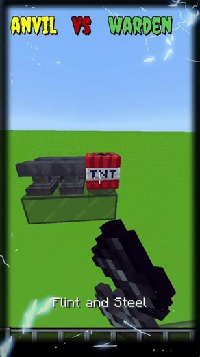 Warden vs Anvil… Unexpected Result!