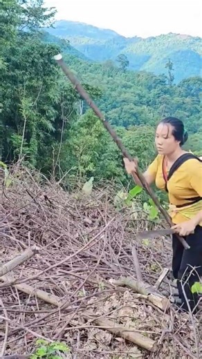 Simple Outdoor Work: Firewood Collection in Nature