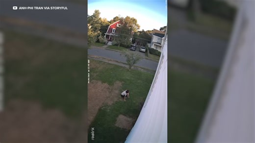 Surveillance video captured the shocking moment a hawk swooped down upon a mother and her daughter in Needham, Massachusetts. Anh-Phi Tran captured this footage on his camera showing the hawk diving towards his wife and daughter. “I was just playing with my daughter and then I saw this huge bird just, you know, coming for us,” his wife Maya told local media. Maya grabbed her daughter Mave and managed to dodge the hawk just in time. “My first instinct was to protect her, get her away. Everything