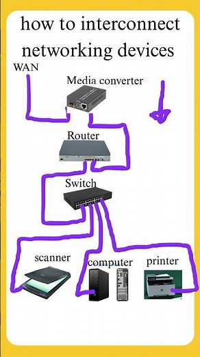 interconnect networking devices