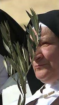 29 March 2026 Celebration of Palm Sunday, Angelus prayer - Pope Leo XIV