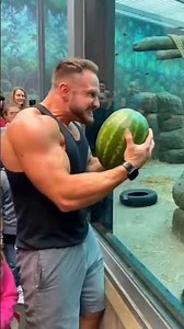 Gorilla Shows Bodybuilder Who's REALLY Strong 🤯