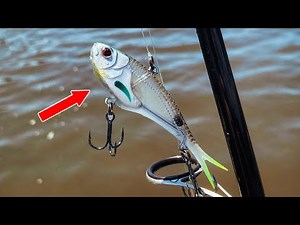 Vertrex Swim and Vertrex Max Soft Vibe lures - The Soft Vibe Re-imagined | Nomad Design