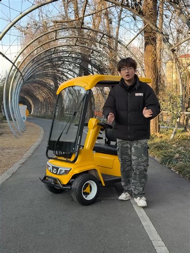 Exploring Minibus Mobility Solutions for Sightseeing