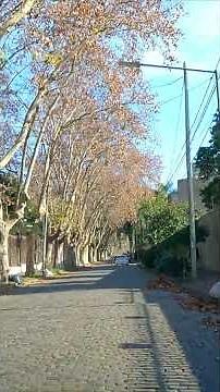 Descubrí Martínez 🚗 | Zona Norte de Buenos Aires 🇦🇷