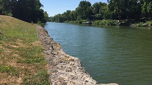 Funeral set for 6-year-old who drowned in Erie Canal