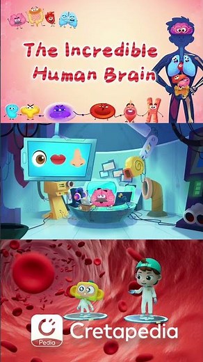 Fun Cartoons Explaining Kids How the Brain Works! #cartoon