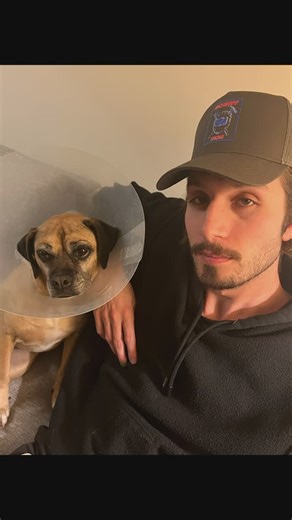 bbnogames on Instagram: "edamame is in english"