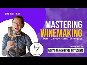 WSET Level 4 (WSET Diploma)Mastering Canopy Management Technique P1 - Vine Density & Row Orientation