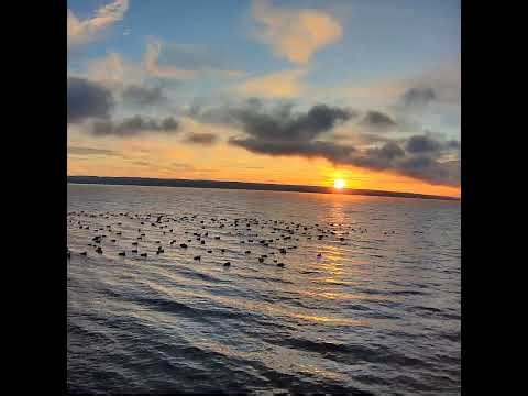 OnCayugaLake Live Stream