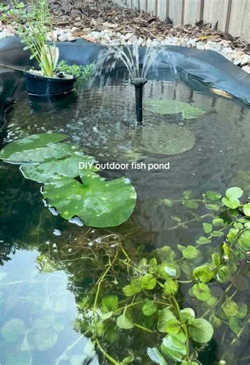 Transforming Our Backyard with a DIY Fish Pond